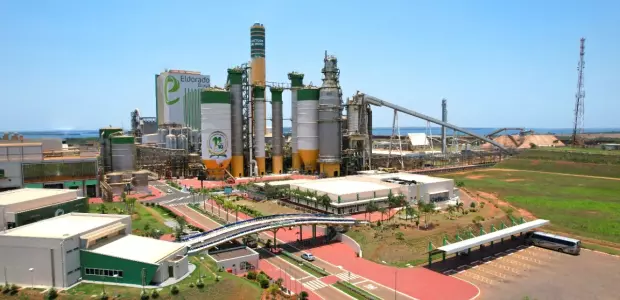 Venda de florestas garante lucro astron&ocirc;mico a gigante da celulose