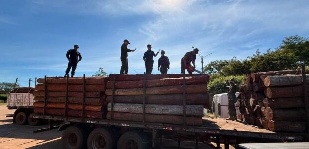PF rastreia transportadoras ap&oacute;s apreens&atilde;o de at&eacute; 50 toneladas de coca&iacute;na