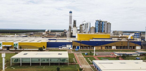 De olho em pre&ccedil;o melhor, gigantes da celulose reduzem exporta&ccedil;&atilde;o