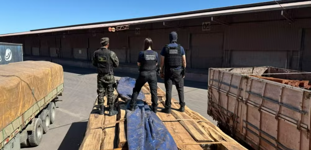 Receita quer 2&ordm; laudo para liberar carga de madeira que teria coca&iacute;na