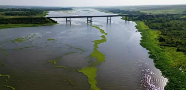 Polui&ccedil;&atilde;o da celulose come&ccedil;a a tomar conta do 3&ordm; maior lago do pa&iacute;s