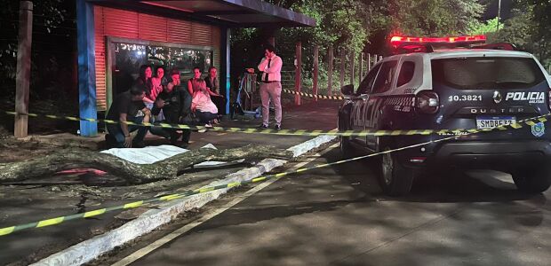 Mulher morre ao ser atingida por galho de &aacute;rvore no Parque dos Poderes