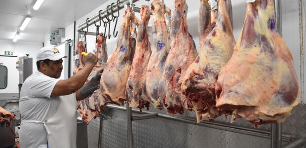 Embargo da UE amea&ccedil;a avan&ccedil;o da carne de MS no mercado europeu