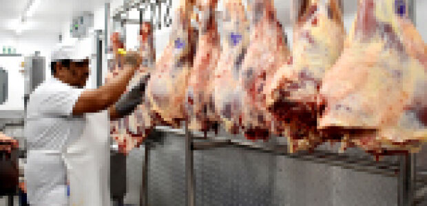 Embargo da UE amea&ccedil;a avan&ccedil;o da carne de MS no mercado europeu