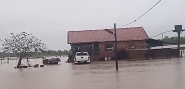 Do seco ao alagado: chuvas mudam cen&aacute;rio do Pantanal e acendem alerta