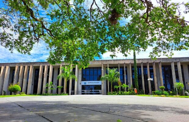 Treze candidatas do Estado recebem bolada de R$ 14 milh&otilde;es dos partidos