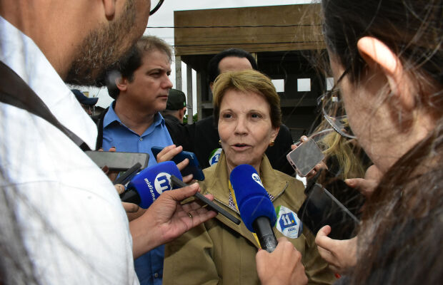 Tereza Cristina come&ccedil;a amanh&atilde; (05) articula&ccedil;&otilde;es de olho na presid&ecirc;ncia do Senado