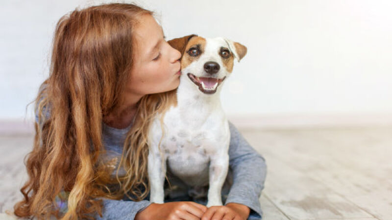 Os últimos dias de 2025 estão sendo marcados pelo forte calor em diversas regiões do Brasil