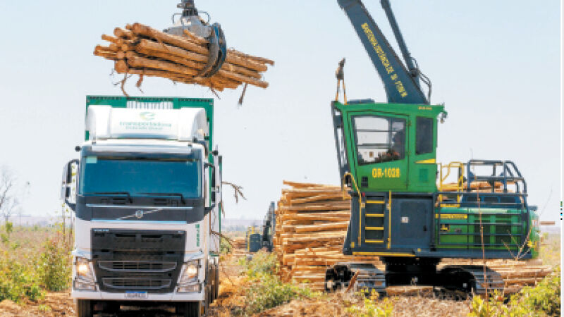 A redução da dependência econômica do setor primário é acompanhada por Mato Grosso do Sul