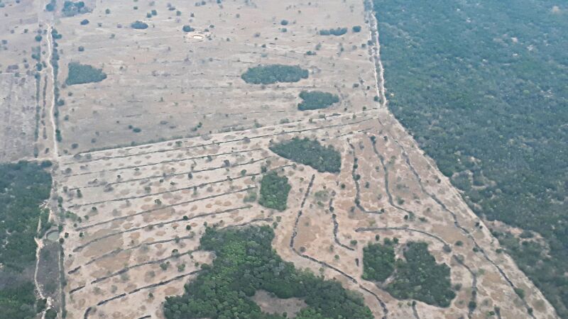 Área desmatada no Pantanal