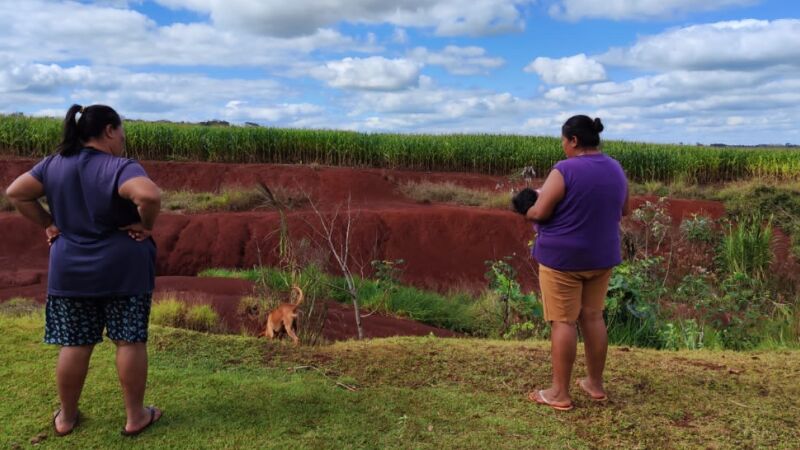 Gabinete de Crise Guarani Kaiowá elaborou relatório recente que aponta para uma 