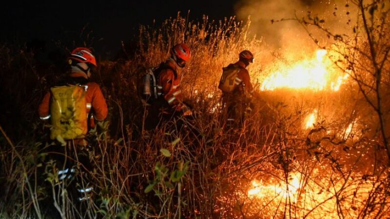 Governo federal enviou R$514 milhões para combate dos incêndios florestais