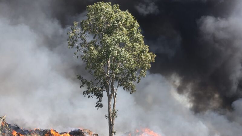 Propriedades Rurais no Pantanal foram atingidas pelo fogo 