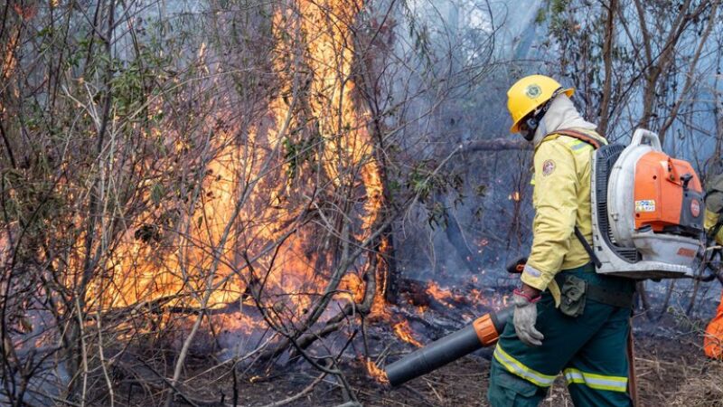 União deverá mandar o maior contingente possível de agentes para combater incêndios no Pantanal e Amazônia