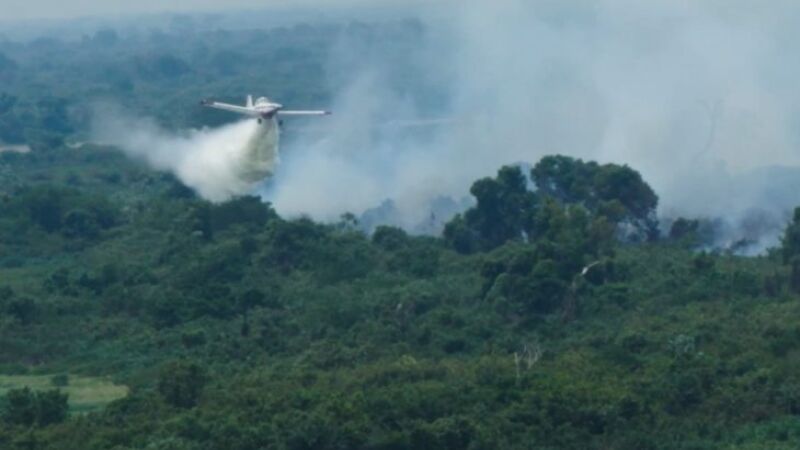 Brigadistas devem intensificar ainda mais o alerta aos incêndios no Pantanal, na próxima semana. 