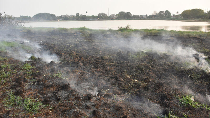 Estado em que ficou as margens da Lagoa Itatiaia após incêndio na vegetação