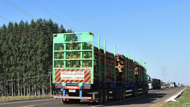 Mato Grosso do Sul deve se tornar o maior produtor de celulose do mundo, e consequentemente aumentar em  florestas de eucalipto 