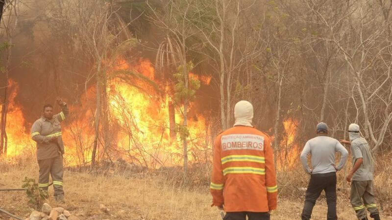 Bombeiros e brigadistas na região da Serra do Amolar, no Pantanal de MS.