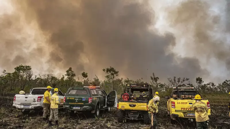 Força de segurança estarão autuando em incêndios florestais no Pantanal de MS 