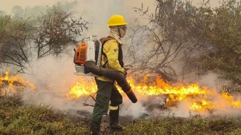 Brigadista do IBAMA em ação de combate ao fogo no Pantanal do Estado, neste mês de setembro