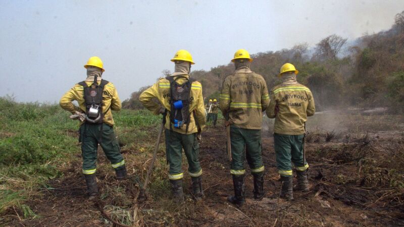 Brigadistas lutam contra incêndios florestais no Pantanal de MS