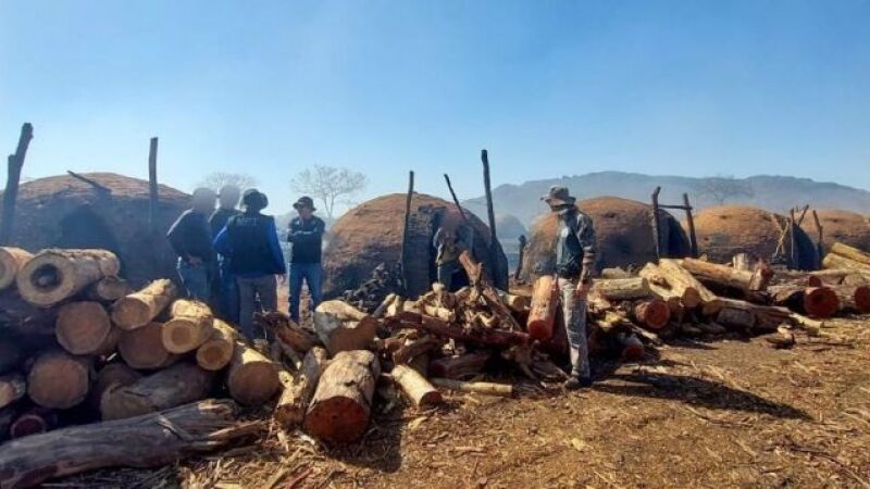 Fiscais constatam trabalho escravo em carvoaria no interior