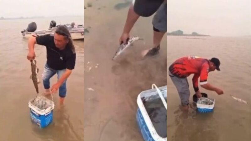 Pescadores resgatam peixes que agonizavam na parte baixa do rio