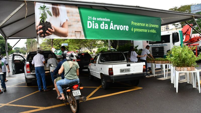 Na ação foram entregues 8 tipos de mudas frutíferas em frente ao Paço Municipal