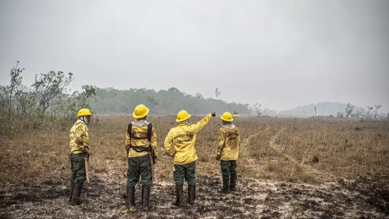 Com a autorização de Dino, o governo poderá enviar ao Congresso Nacional medida provisória (MP) apenas com o valor do crédito a ser destinado ao combate aos incêndios