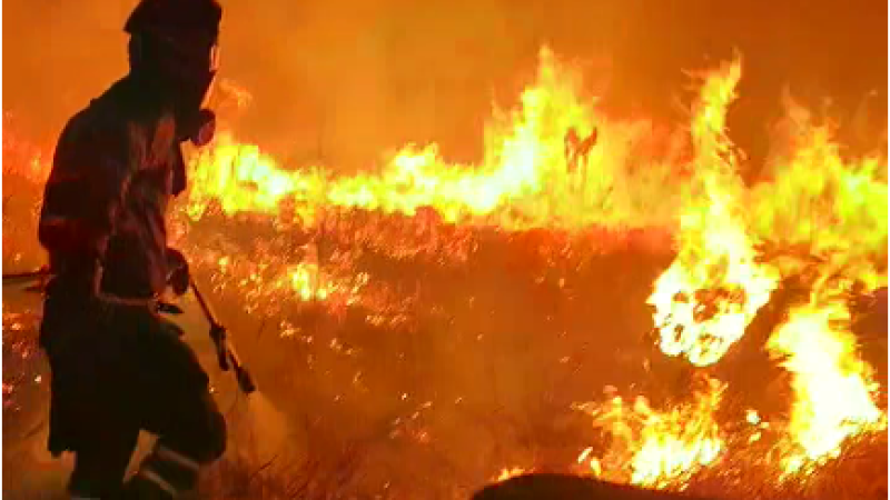 Incêndio em coxim se alastrou rapidamente devido ao tempo seco no norte do Estado