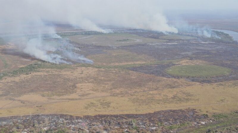 Pantanal em chamas