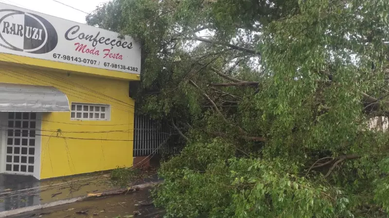 A tempestade que caiu na cidade deixou rastro de destruição 