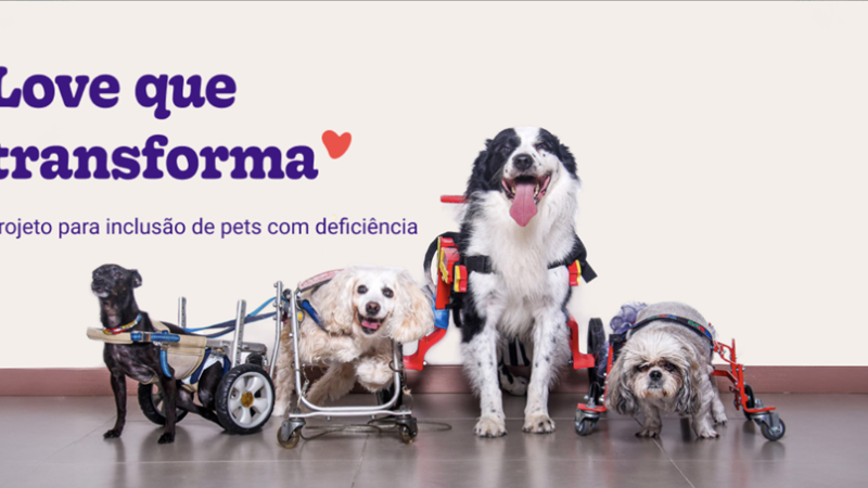 Pet B+: Love que Transforma: primeira plataforma de inclusão e visibilidade de pets com deficiência