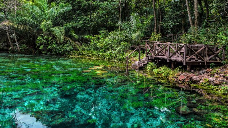 Rios de Bonito (MS) estão entre os mais cristalinos do mundo