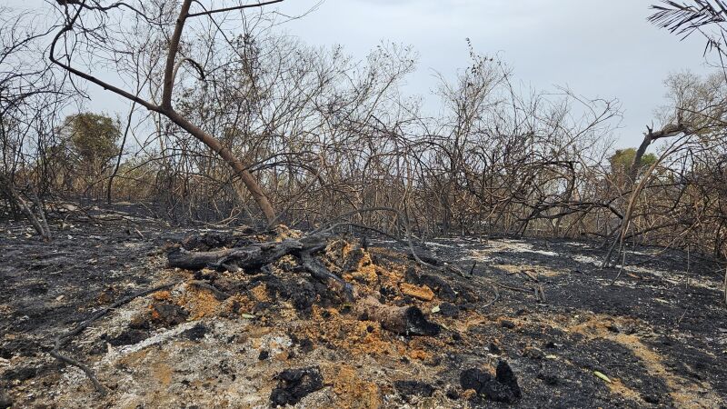 Incêndios no Pantanal terão multas mais rígidas após decreto do governo federal deste mês