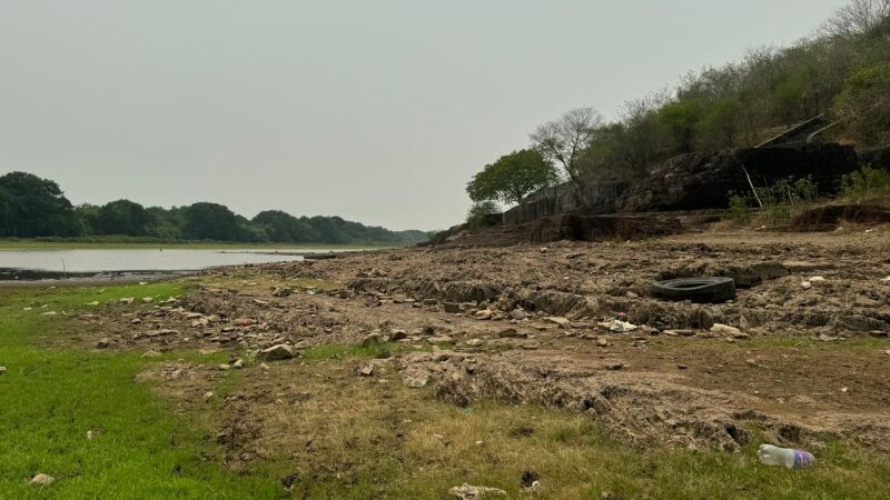 Seca domina a paisagem onde antes havia água no bioma