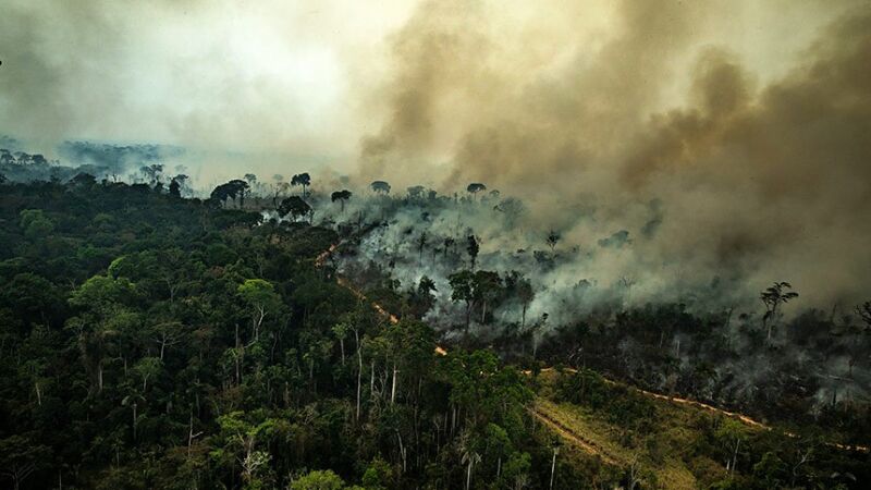 Mudança climática está piorando muito os principais determinantes da tuberculose, como desigualdade, deslocamentos e insegurança alimentar