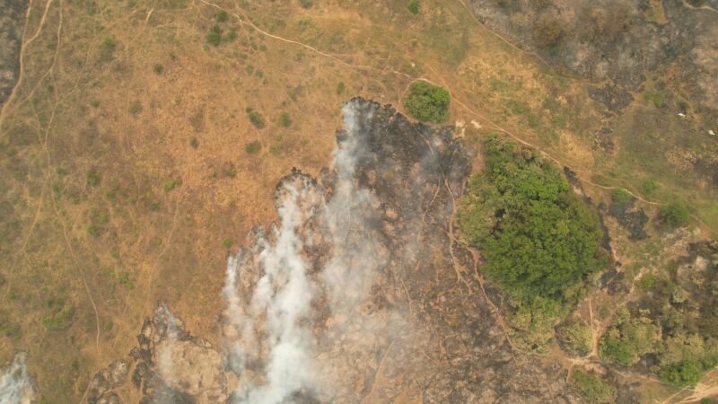 Pantanal pegando fogo