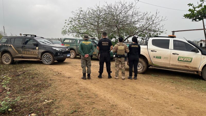 Os investigados podem ser responsabilizados por desmatamento e grilagem de terras.