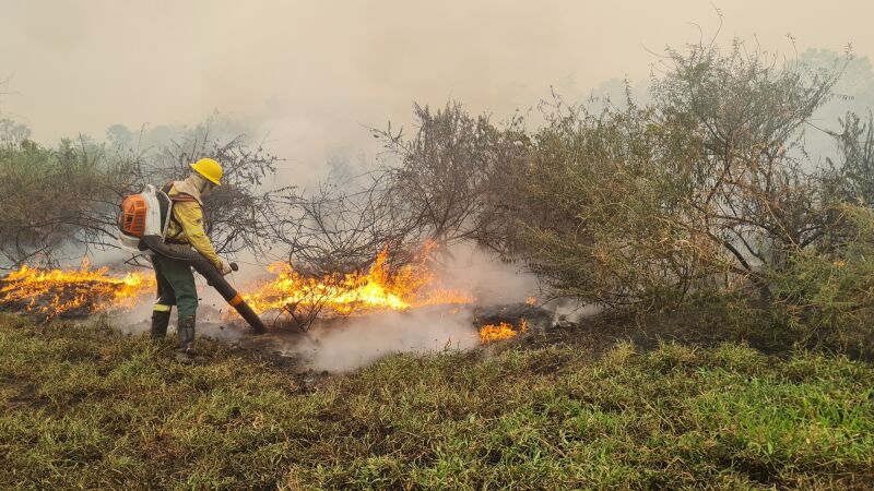 Incêndios no Pantanal iniciaram mais cedo neste ano; União quer evitar que o mesmo ocorra em 2025