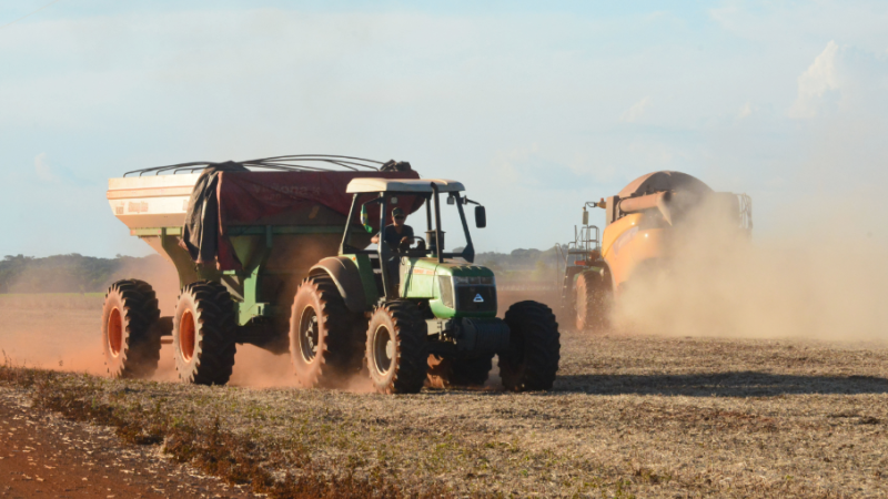 Agropecuária teve seu valor derrubado por causa do clima instável no estado este ano