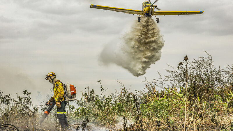 Brigadistas do Prevfogo/Ibama combatem incêndios florestais no Pantanal 