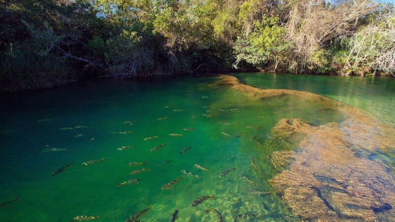 Longe cerca de 7 km do centro de Bonito MS, é possível acessar o balneário através de carro próprio