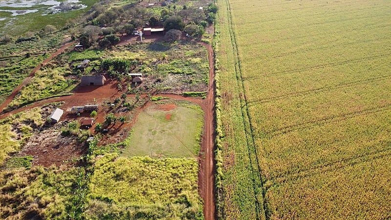 Apesar das riquezas produzidas pelo agronegócio, famílias indígenas vivem em situação de extrema pobreza em diferentes regiões de MS