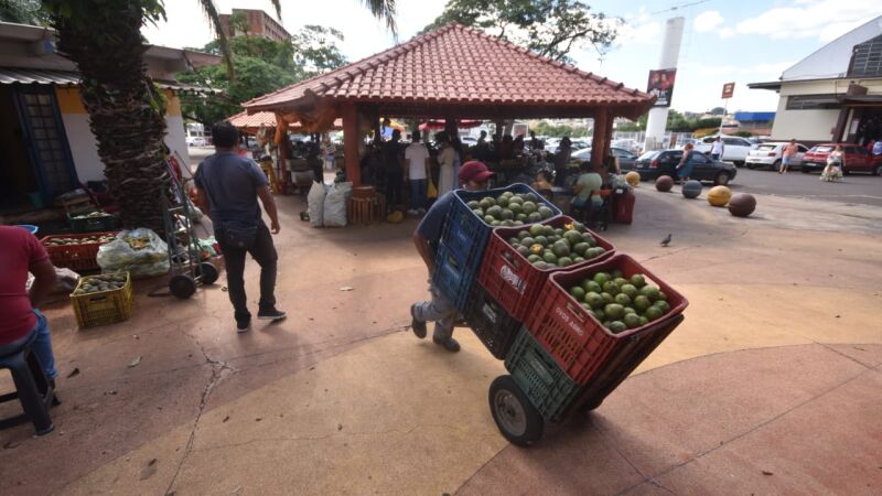 Trabalhadores em meio às caixas de mercadorias no Mercadão Municipal