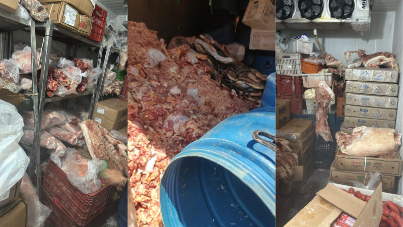 Mercado vendia carne com casulo de moscas e vacinas em Campo Grande