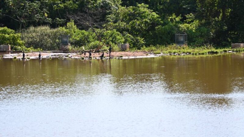 Lago do Parque das Nações Unidas