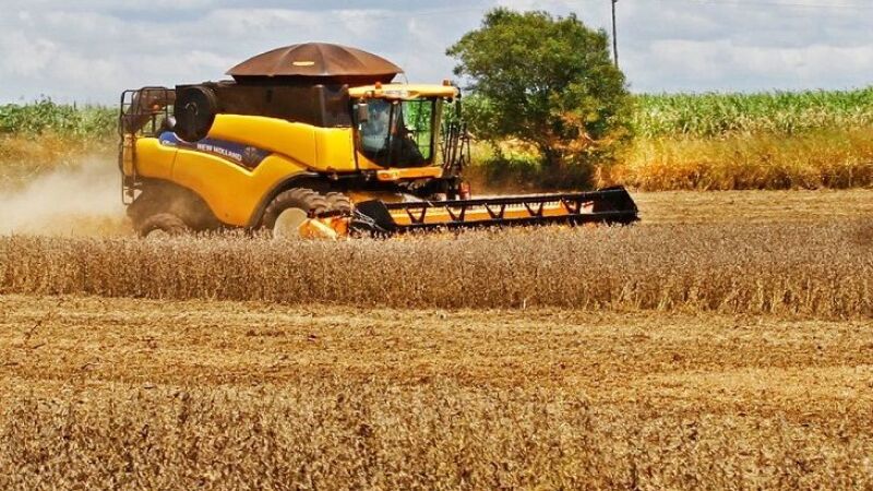 No ano passado, a agropecuária foi o principal motor do PIB nacional