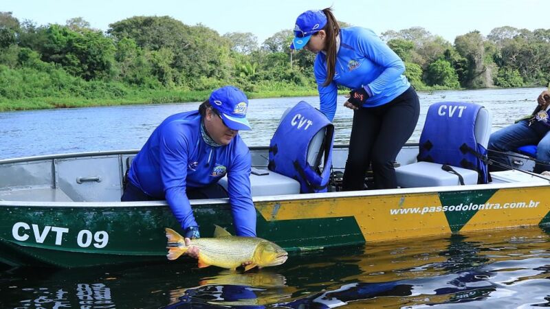 Proibida desde 2019, a pesca do dourado em Mato Grosso do Sul poderá ter futuro definido com base em estudos científicos que devem ser apresentados até fevereiro de 2027