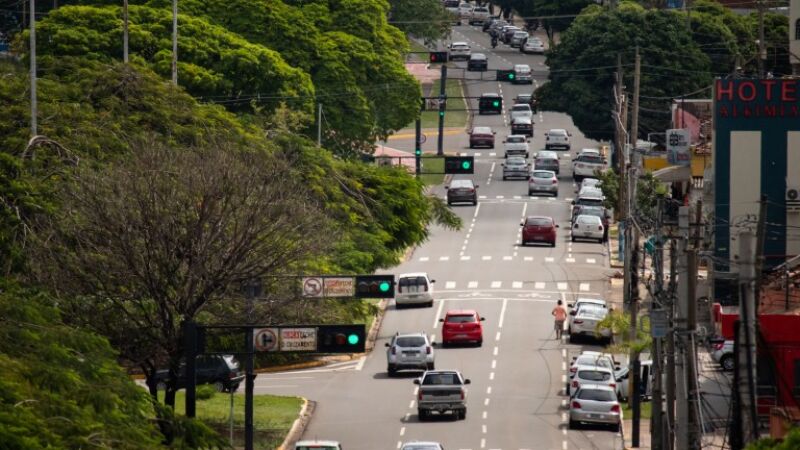 MS lidera ranking da população que mora em ruas arborizadas, diz IBGE